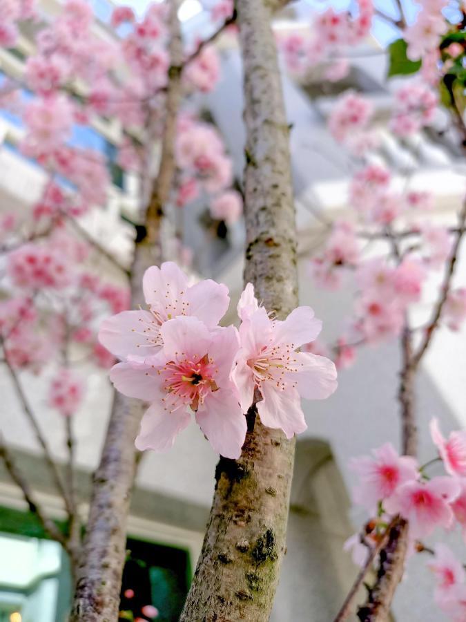 Kobaya 居民 宿 Jinhu Esterno foto